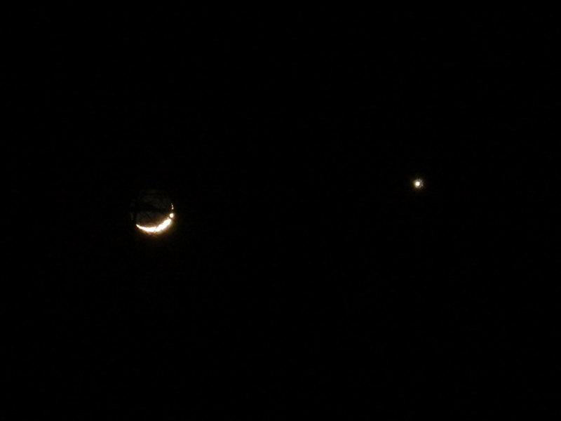 The Moon and Venus taken through tree branches on March 23, 2015, by Ray Kaville.   Olympus SZ-20 camera, automatic exposure with a zoom lens on a "really cheap flimsy tripod." 