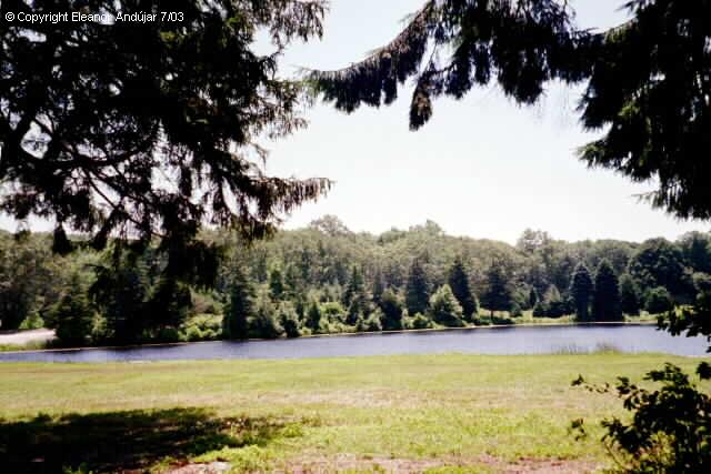 Photos taken by Eleanor Andujar
