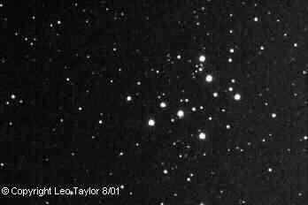Photos taken by Leo Taylor
