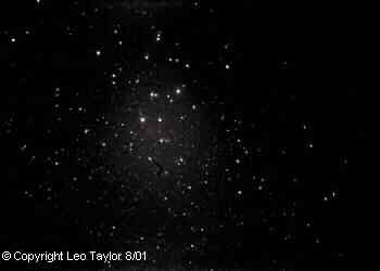 Photos taken by Leo Taylor

