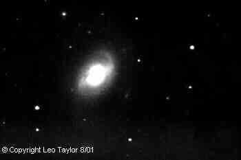 Photos taken by Leo Taylor
