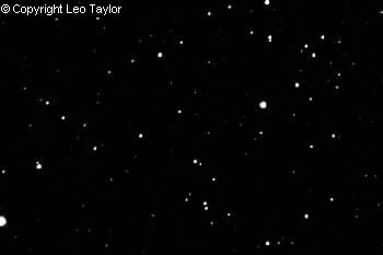 Photos taken by Leo Taylor
