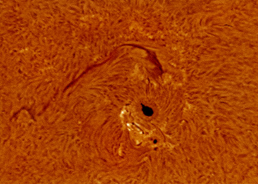Photo by Alan Chaniewski
2/1/07 - Marlborough, Ct. - Sunspot 940 as it makes it's way around the disk of the sun. Taken with a SM60 filter,
and a stack of 500 frames. Also notice the solar flares starting just below the sunspot.
