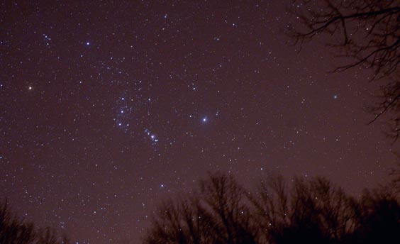 Comet Machholz near Orion by taken by Alan Chaniewski
The comet is the out of focus greenish blob to the right almost in the trees.
Taken with a Nikon D100. 4 minute exposure with a setting of 800 ISO/ASA.

