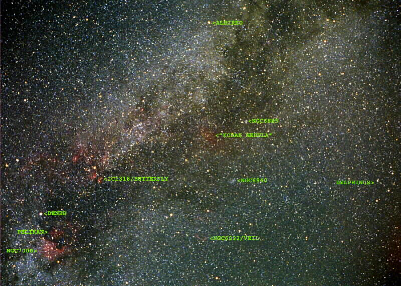 Cygnus by Vladimir Ilic
Vivitar 3800N camera, 50mm f/2.8 lens, Kodak Max800 film, CG-5 mount
Includes NGC 7000 the North American Nebula (Mexico to the right),
IC5070 the Pelican, the huge IC 1318, NGC 6992 the Network/Veil
3 * 15 min exposures, processed with AstroArt 3.0 and Photoshop
