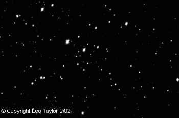 Taken by Leo Taylor using his Meade 2080
M 41 in Canus Major
8 in SCT 5 second exposure 
