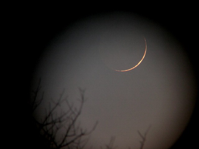 Photos of April 2005 Messier Marathon taken by Eleanor And�jar
We were briefly treated to a 28 hour old Crescent Moon
As it dipped into the trees Eleanor And�jar caught this sliver.
Stellarvue 80mm Nighthawk, Nikon Coolpix 4300, Scopetronix EP, 8 seconds.

