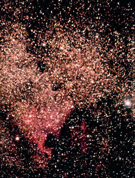 Photo by Leo Taylor
Just a great example of the skies. Leo Taylor captured the North American Nebula as it was directly overhead for the CSP particiapnts. Many observers found it to be a naked eye object.
