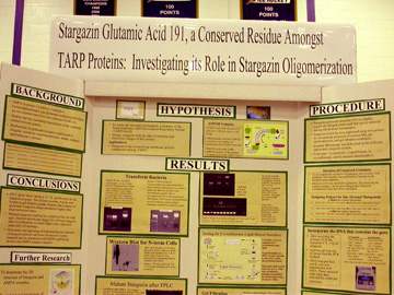 Photo by Ray Kaville
New Haven Science Fair 2009 - Held March 10-14th at Quinnipiac University. Exhibits and participants of the judging by ASNH members.
