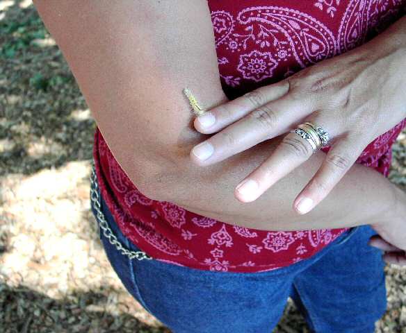 ASNH Picnic 2005 at Deer Lake taken by Eleanor And�jar
Caterpillar on Gina's arm
