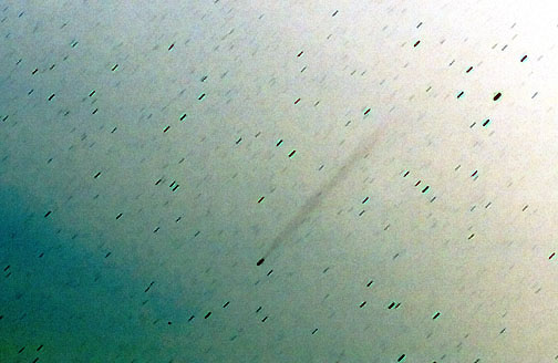 Photo by Alan Chaniewski
Image of Comet Pojmanski inverted


