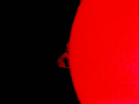 Solar image by Walt Kupson
Large sun flare taken by Walt Kupson
Coronado PST from ASNH, Canon S30 3.2 megapixel
1/125 second exposure, ISO 200 at 57X. North is at top.

