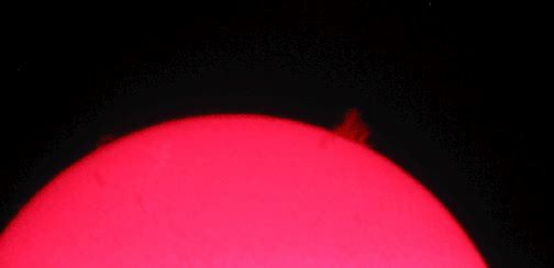 Solar image by Walt Kupson
Sun Prominence in Hydrogen Alpha taken by Walter Kupson
Two photos of the same huge ejection take a day apart - this is June 1
Coronado PST, 12 mm kellner eyepiece, Canon 3.2 mp camera

