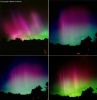 aurora_vi[1].jpg
