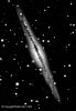 n891_rk.jpg