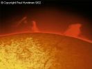 Filename=sunprom2_ph.jpg
Filesize=18KiB
Dimensions=350x263
Date added=Sep 14, 2006 sunprom2_ph.jpg