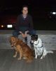 twodogs.jpg