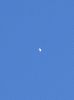 web-venus_daytime.jpg