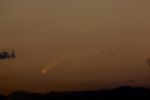 web1-7-06mcnaught.jpg