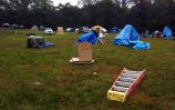 wetfield.jpg