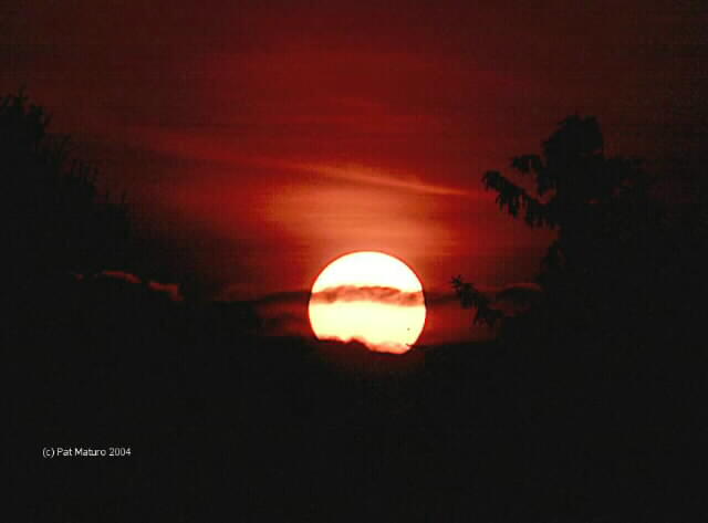  Venus Transit 6/8/2004 by Pat Maturo
Venus just touching the edge of the Sun
Nikon CoolPix 995 on a 5" AP triplet ED refractor using a
Scopetronix 18mm eyepiece, 60mm Coronado H-alpha filter 

